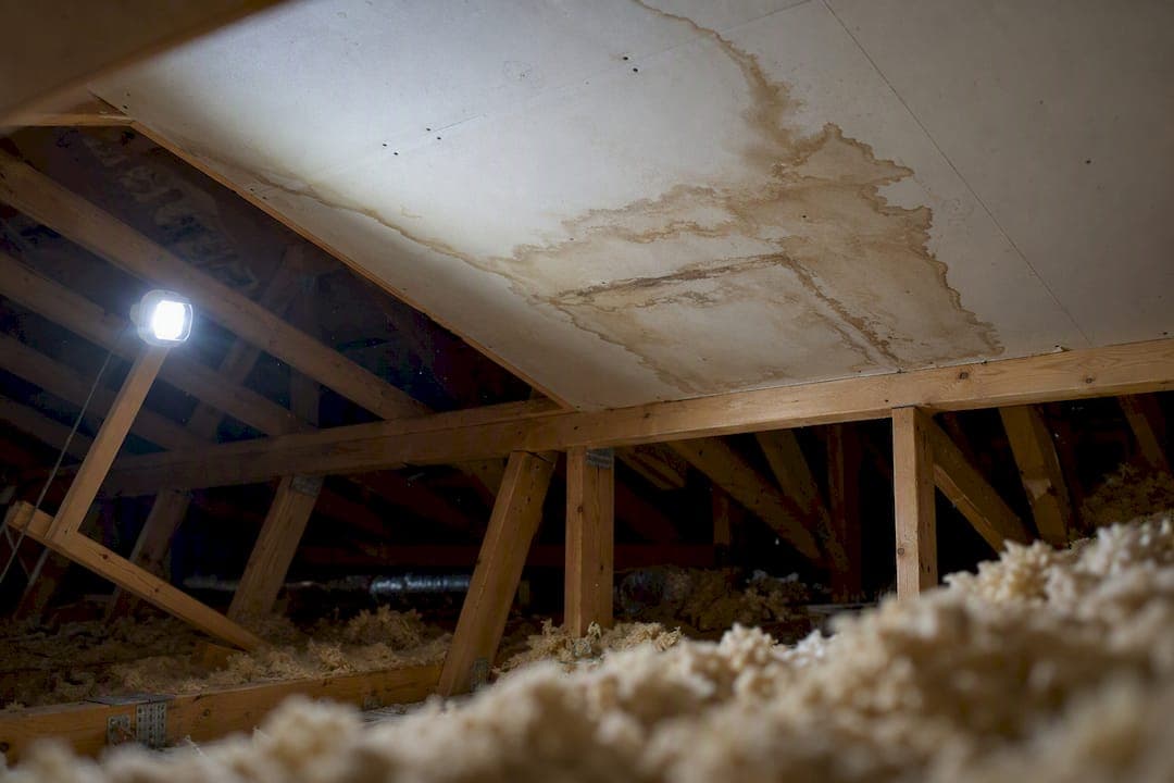 Ceiling Water Mark: What It Means and What to Do Now