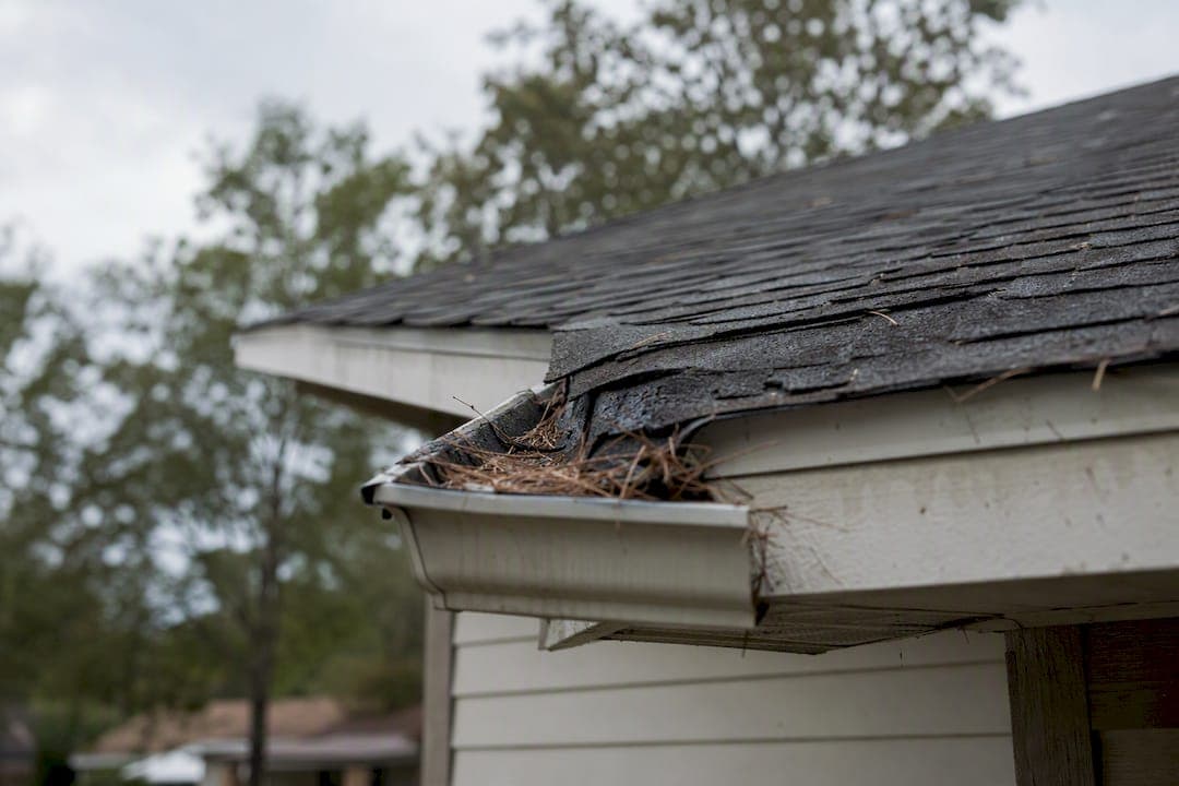 Wind Damaged Shingles: What Homeowners Should Do Next